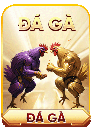 đá gà okfun